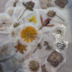 Pegatinas botánicas
